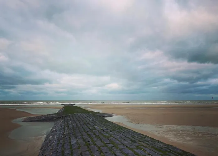 La D’o Appartement *